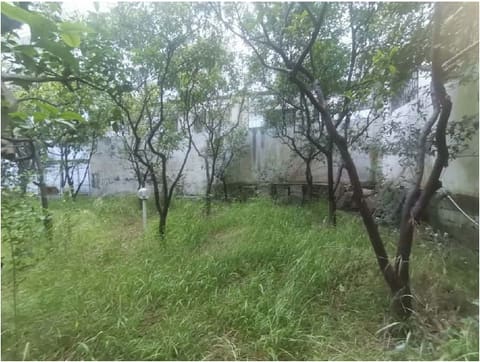 Photo of the lot 4