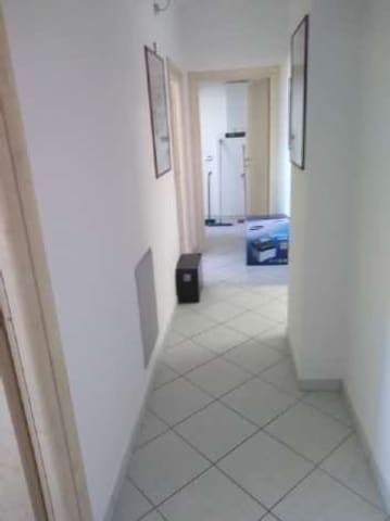 Photo of the lot 8