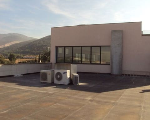 Photo of the lot 2