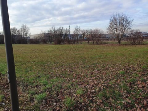 Photo: Immobile residenziale in Ponte di Piave (TV)