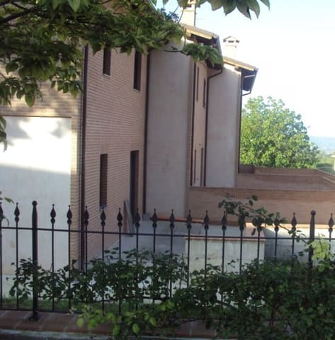 Photo of the lot 2