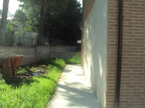 Photo of the lot 8
