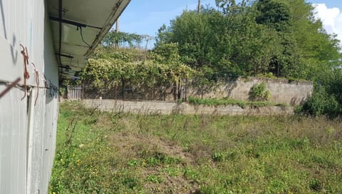 Photo of the lot 2