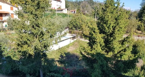 Photo of the lot 3