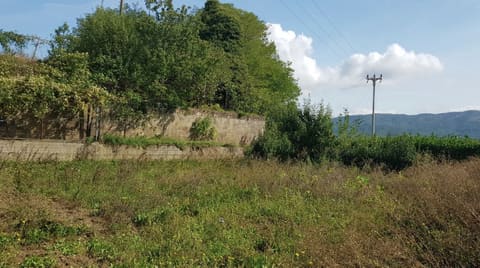 Photo of the lot 4