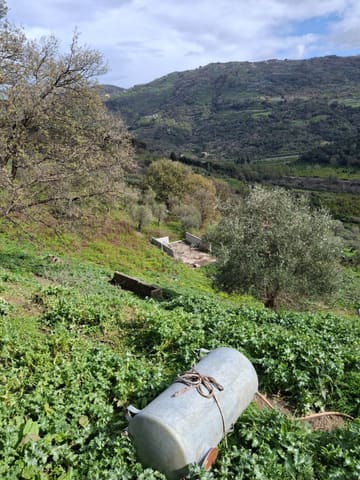 Foto del lotto 3