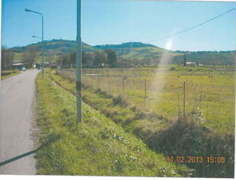 Photo of the lot 3