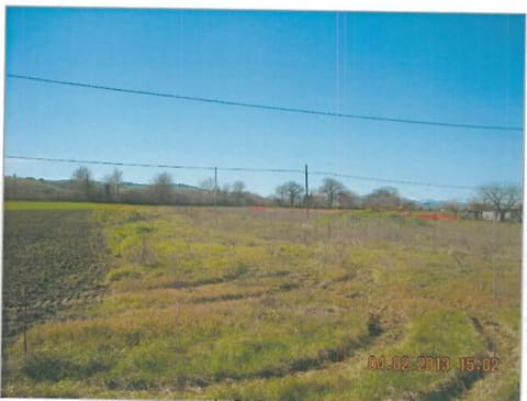 Photo of the lot 4