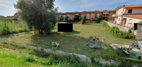 Foto del lotto 3