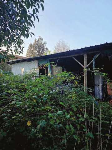 Photo of the lot 1