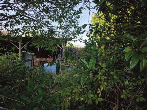 Photo of the lot 3