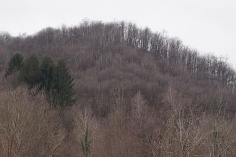 Foto: Altra categoria a Valli del Pasubio (VI)