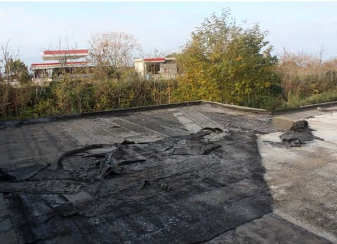 Photo of the lot 5