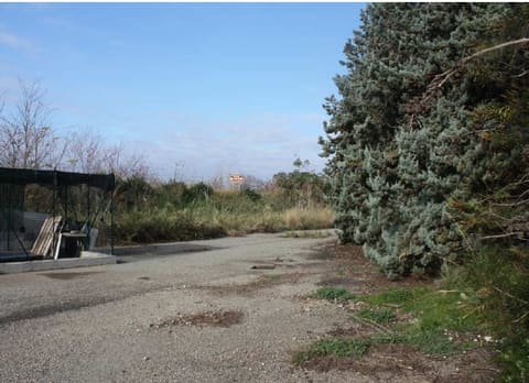 Photo of the lot 6