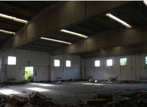 Photo of the lot 8