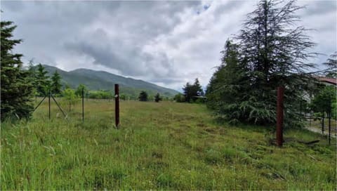 Photo of the lot 2