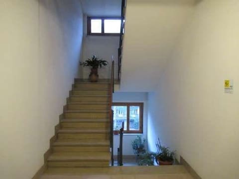 Photo of the lot 4