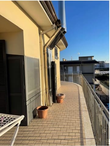 Photo of the lot 2