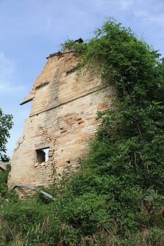 Photo of the lot 1