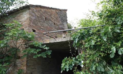Photo of the lot 2
