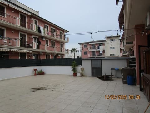 Photo of the lot 3