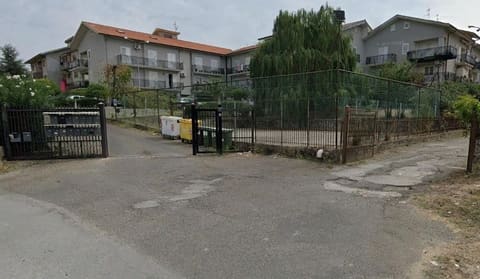 Foto del lotto 2