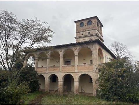 Photo of the lot 3