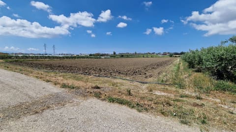 Photo: Altra categoria in Eboli (SA)