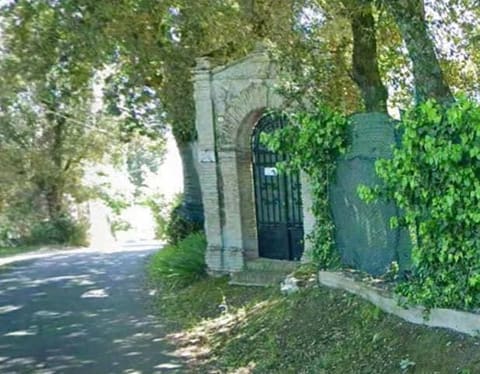 Photo of the lot 2