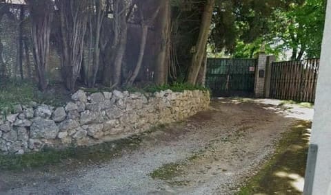Photo of the lot 3