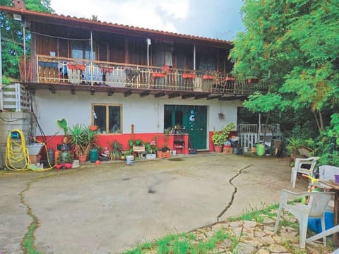 Foto del lotto 1