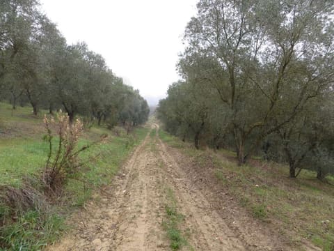 Photo: Altra categoria in San Giorgio del Sannio (BN)