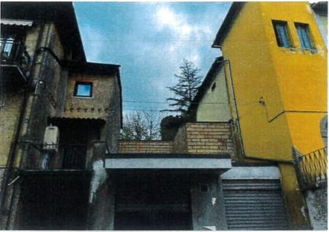 Foto del lotto 1