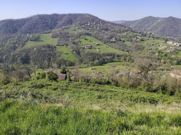Foto del lotto: Altra categoria a Villongo