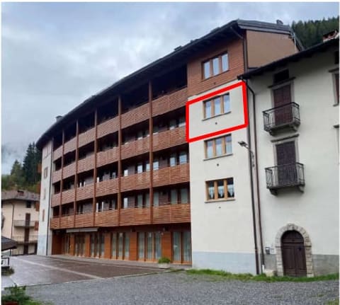 Photo of the lot 4