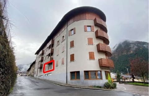 Photo of the lot 5