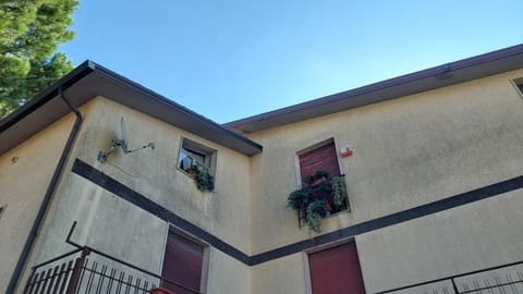 Photo of the lot 3