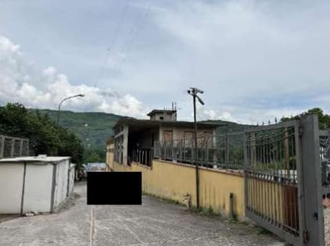 Foto del lotto 1