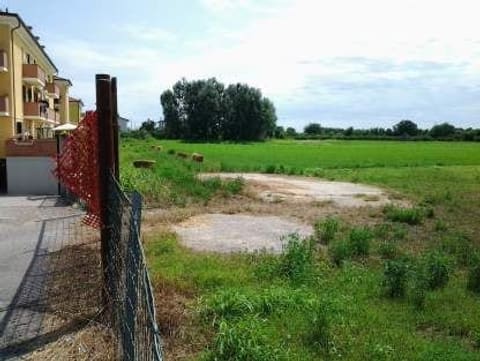 Photo: Altra categoria in Vigonovo (VE)