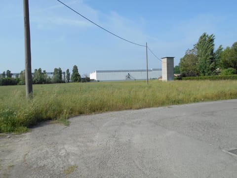 Photo: Altra categoria in Campegine (RE)
