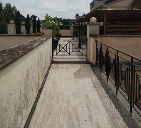 Photo of the lot 3