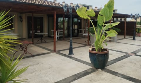 Photo of the lot 4