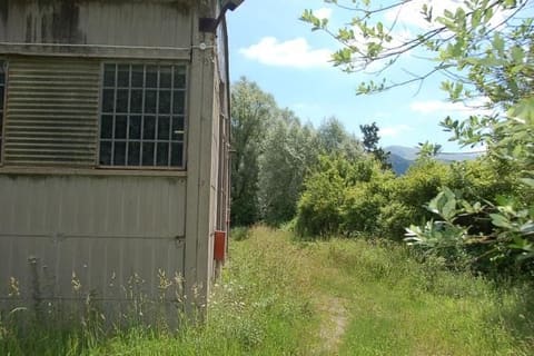 Photo of the lot 4