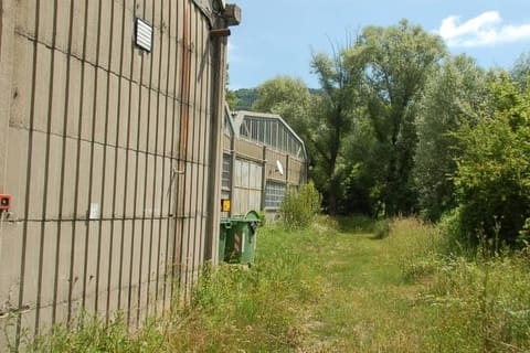 Photo of the lot 5