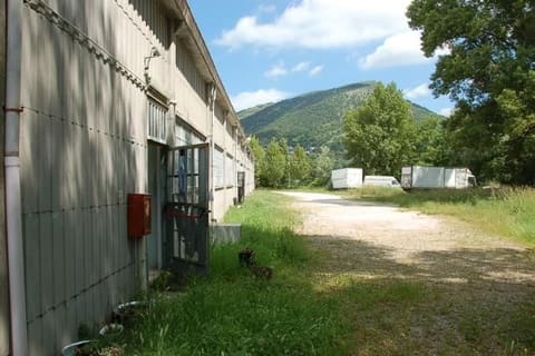 Photo of the lot 8
