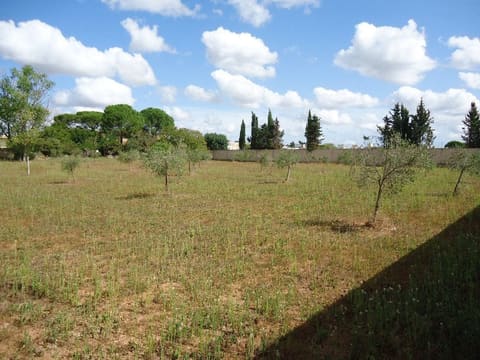 Photo: Altra categoria in Torre Santa Susanna (BR)
