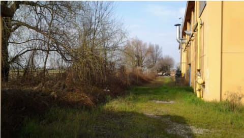 Photo of the lot 4