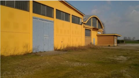 Photo of the lot 5