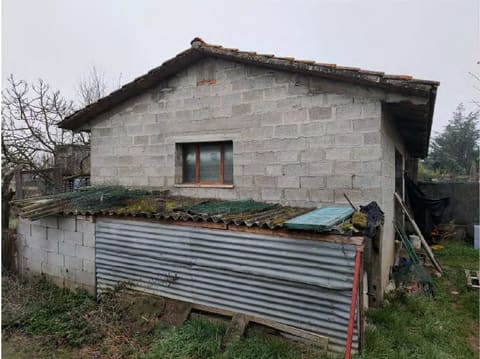 Foto del lotto 1