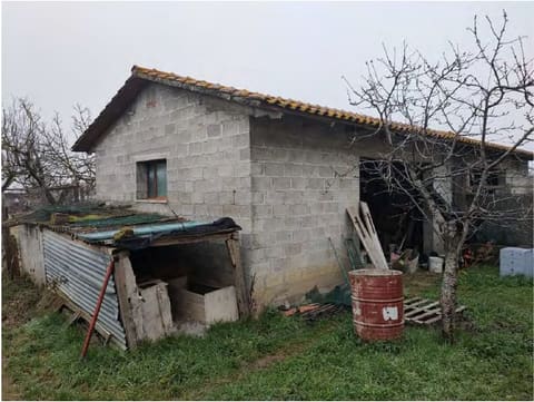 Foto del lotto 3